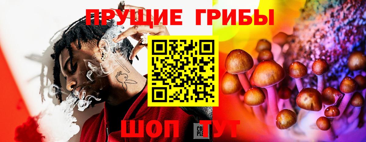Галлюциногенные грибы Cubensis Узловая