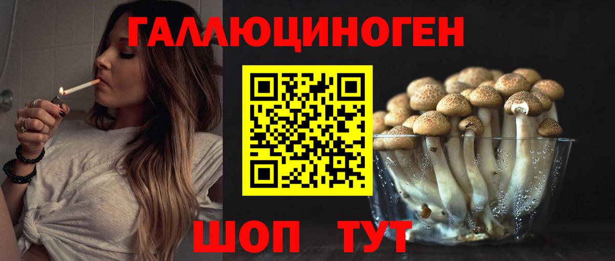 Псилоцибиновые грибы GOLDEN TEACHER  Вход с VPN  как найти закладки  Узловая 